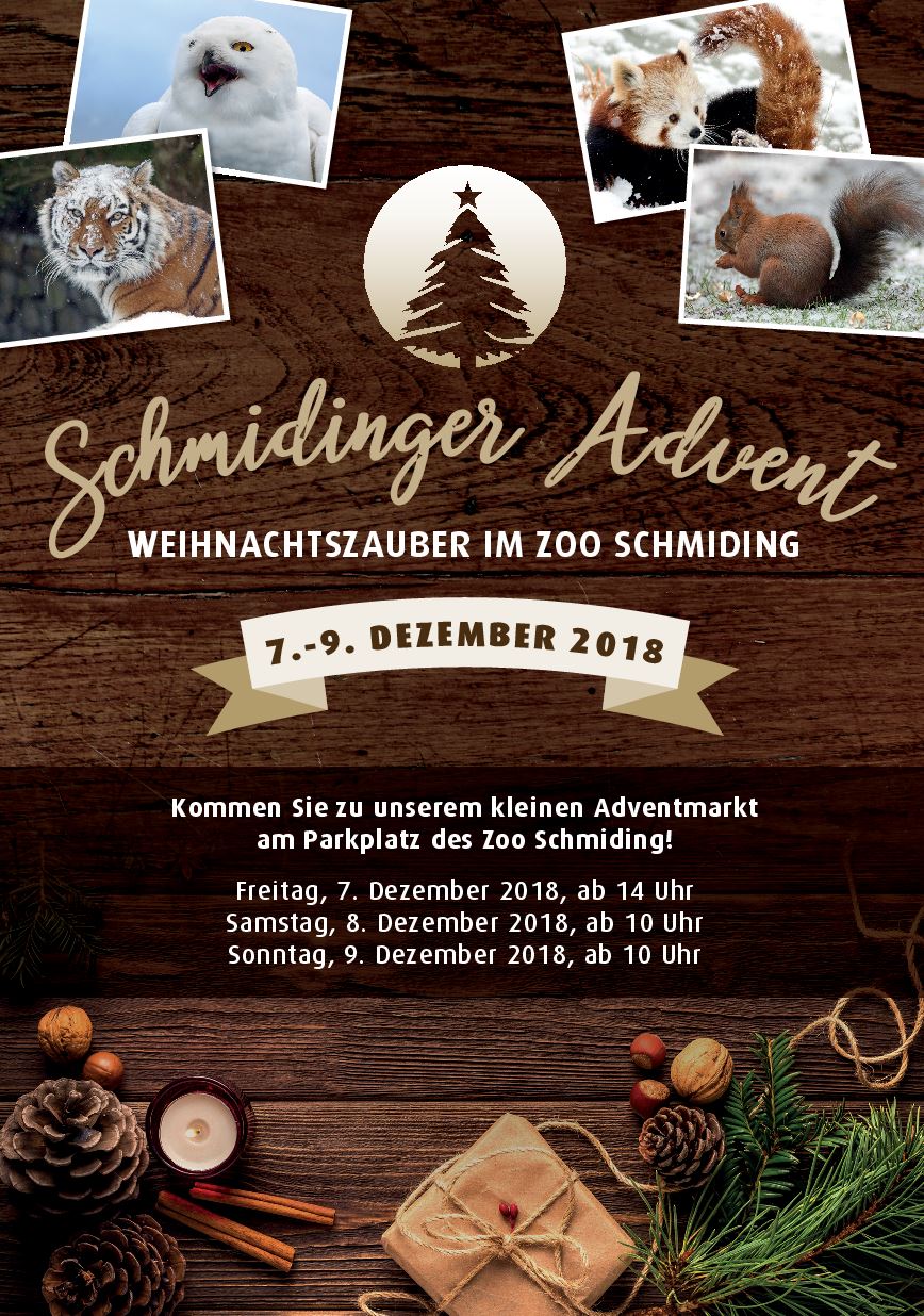 Schmidinger Advent 2018
