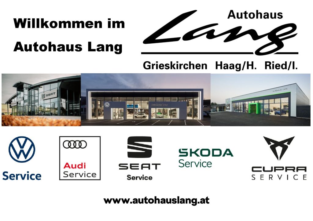 Matchsponsor Autohaus Lang